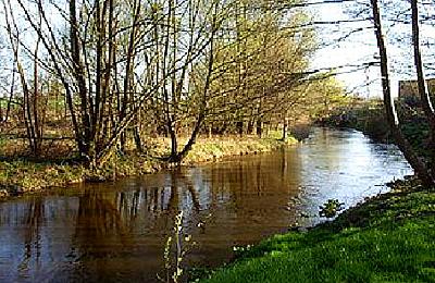 Dobiegniew -- An der Drage