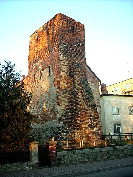 Dobiegniew -- Das Storchnest im Jahr 2008