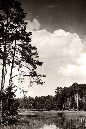 Neumark -- Am Kladower Teerofen