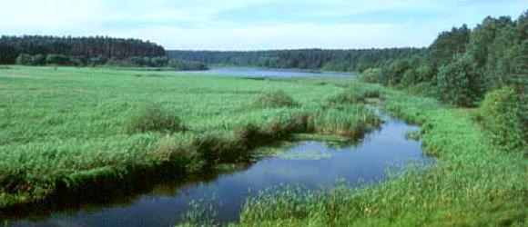 Bruchlandschaft an der Drage/Drawa