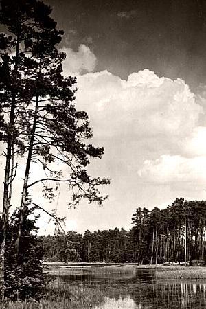 Neumark -- Am Kladower Teerofen