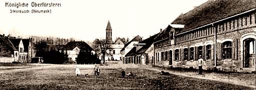 Steinbusch/Nm -- K&ouml;nigliche Oberf&ouml;rsterei