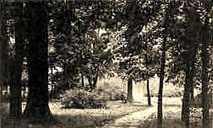 Woldenberg -- Am Waldesrand