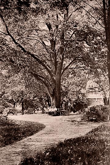 Woldenberg -- In der Anlage