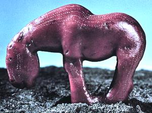 Farbfoto vom Bernsteinpferd -- 2011 im Internet