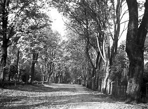 Woldenberg -- Scharnhorst Stra&szlig;e