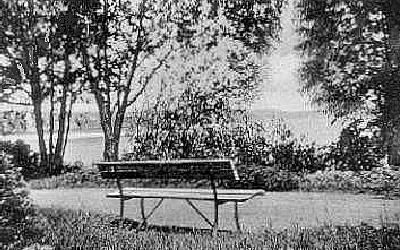 Woldenberg -- Weg zur Badeanstalt